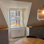 Cozy Apartments In Heart Of Copenhagen Near Stroget & Hojbro Plads